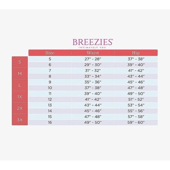 Breezies Set of 3 Lace Effects Seamless High Cut Panties Raindrop sz M NEW# C780 - Picture 2 of 2